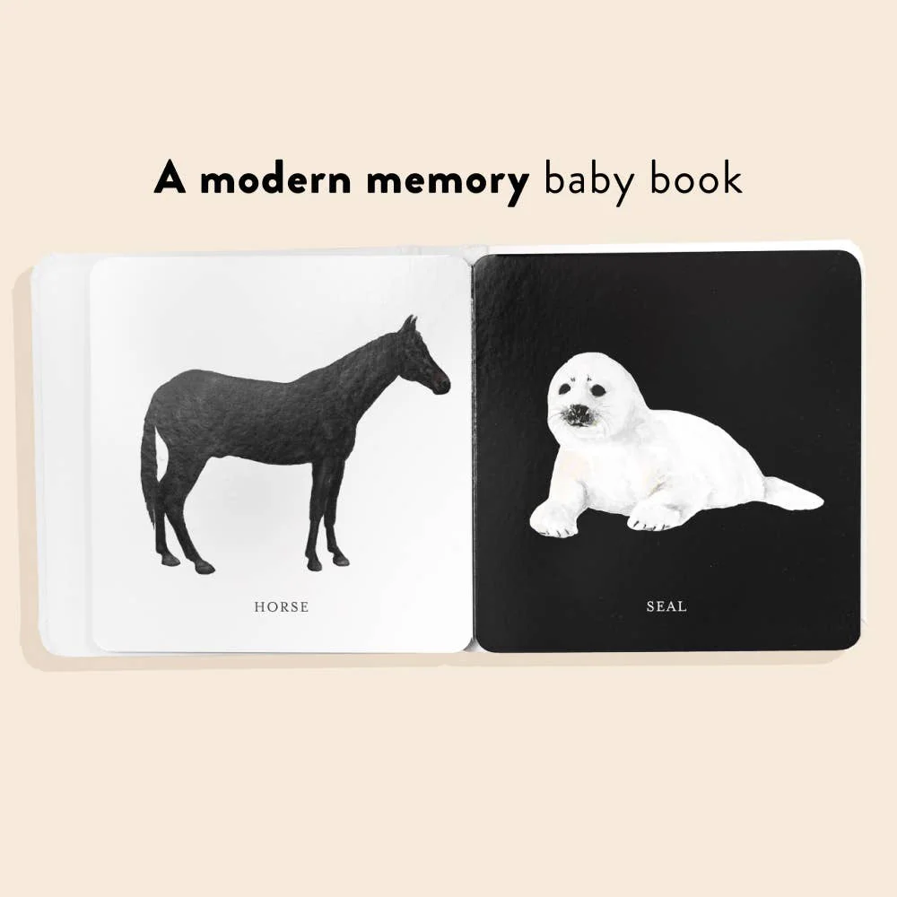 Baby's Black And White Book - Image 2