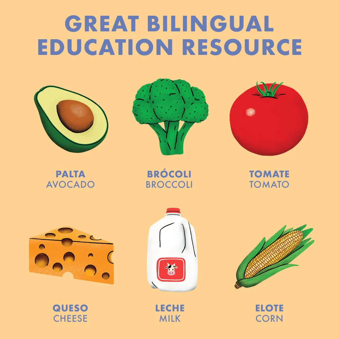 Big Bilingual Book First Words - Image 5
