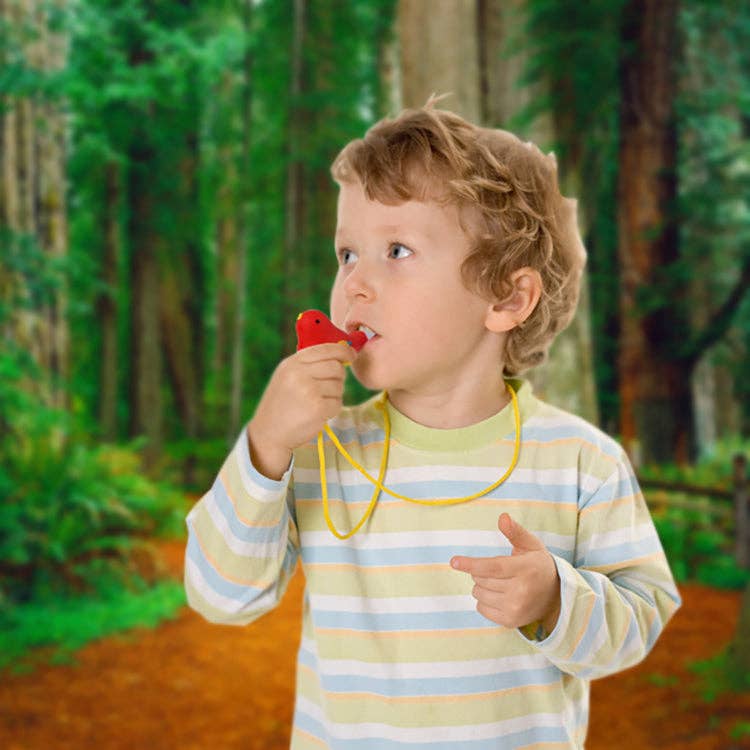 Bird Whistle - Image 3