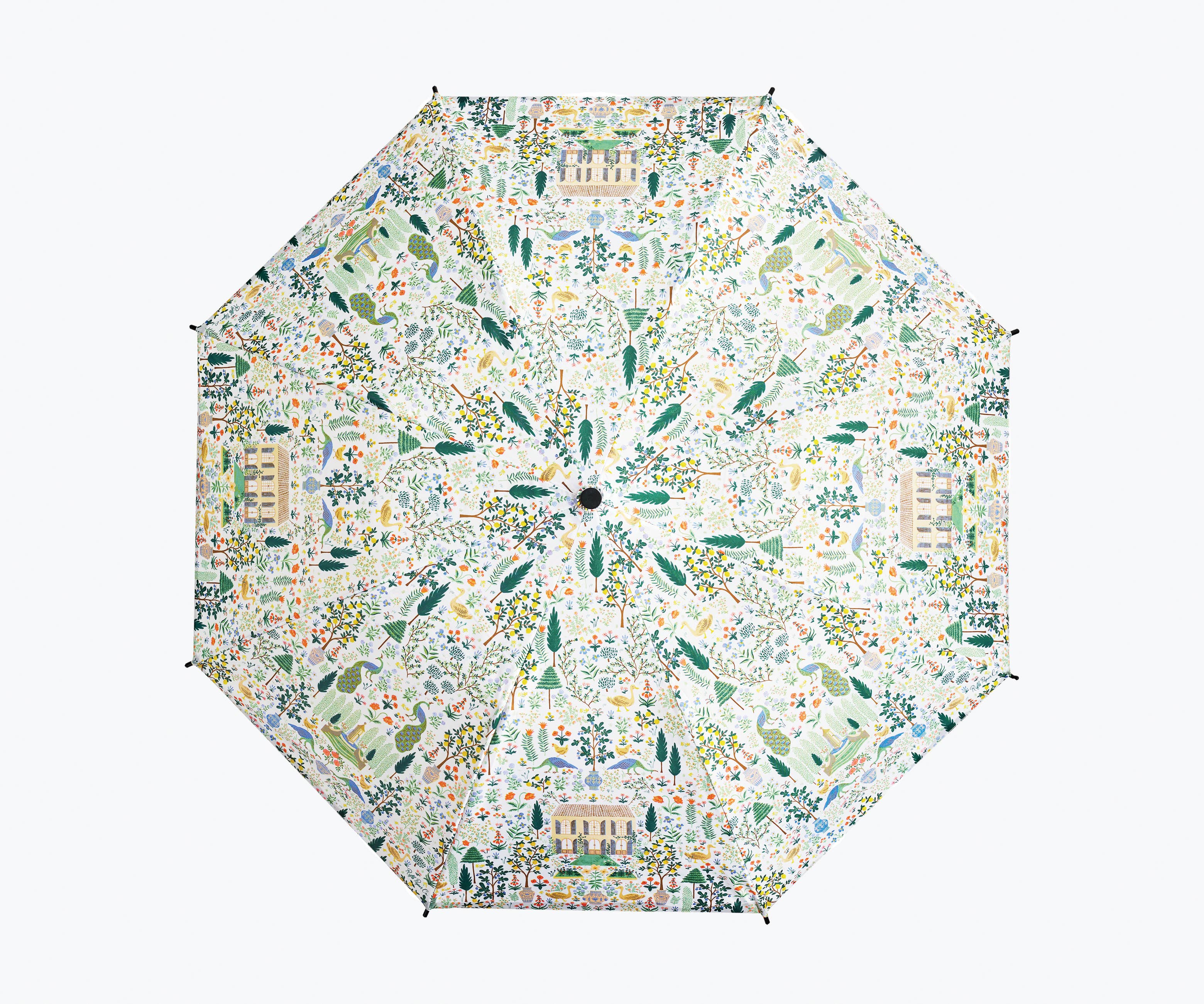 Camont Umbrella - Image 4