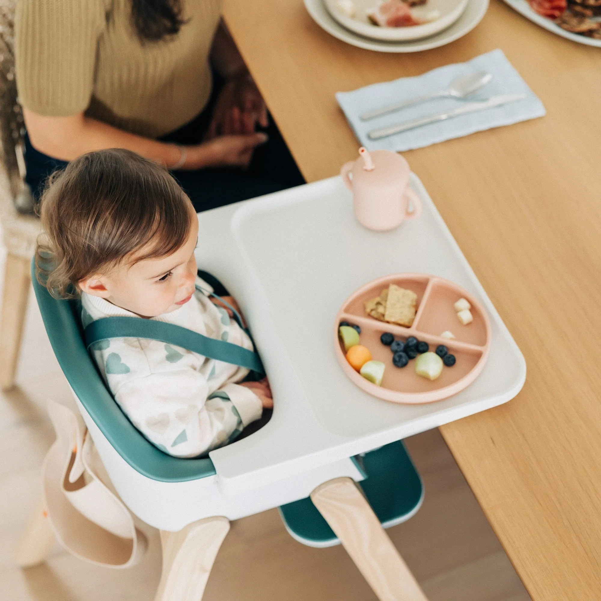 UPPAbaby Ciro High Chair - Image 83