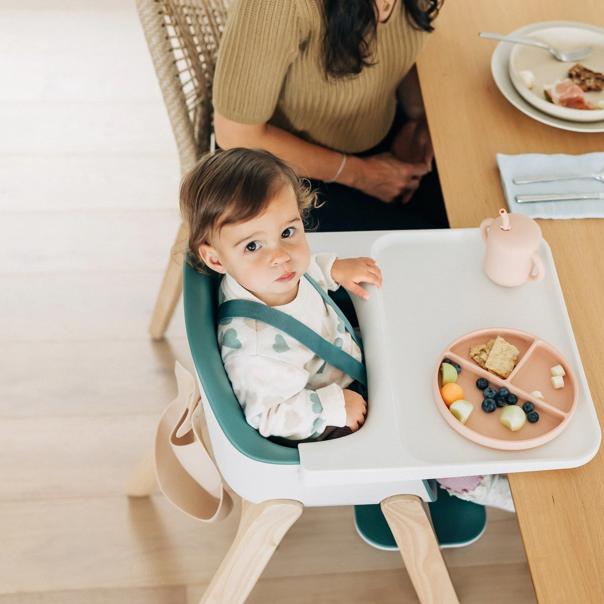 UPPAbaby Ciro High Chair - Image 84