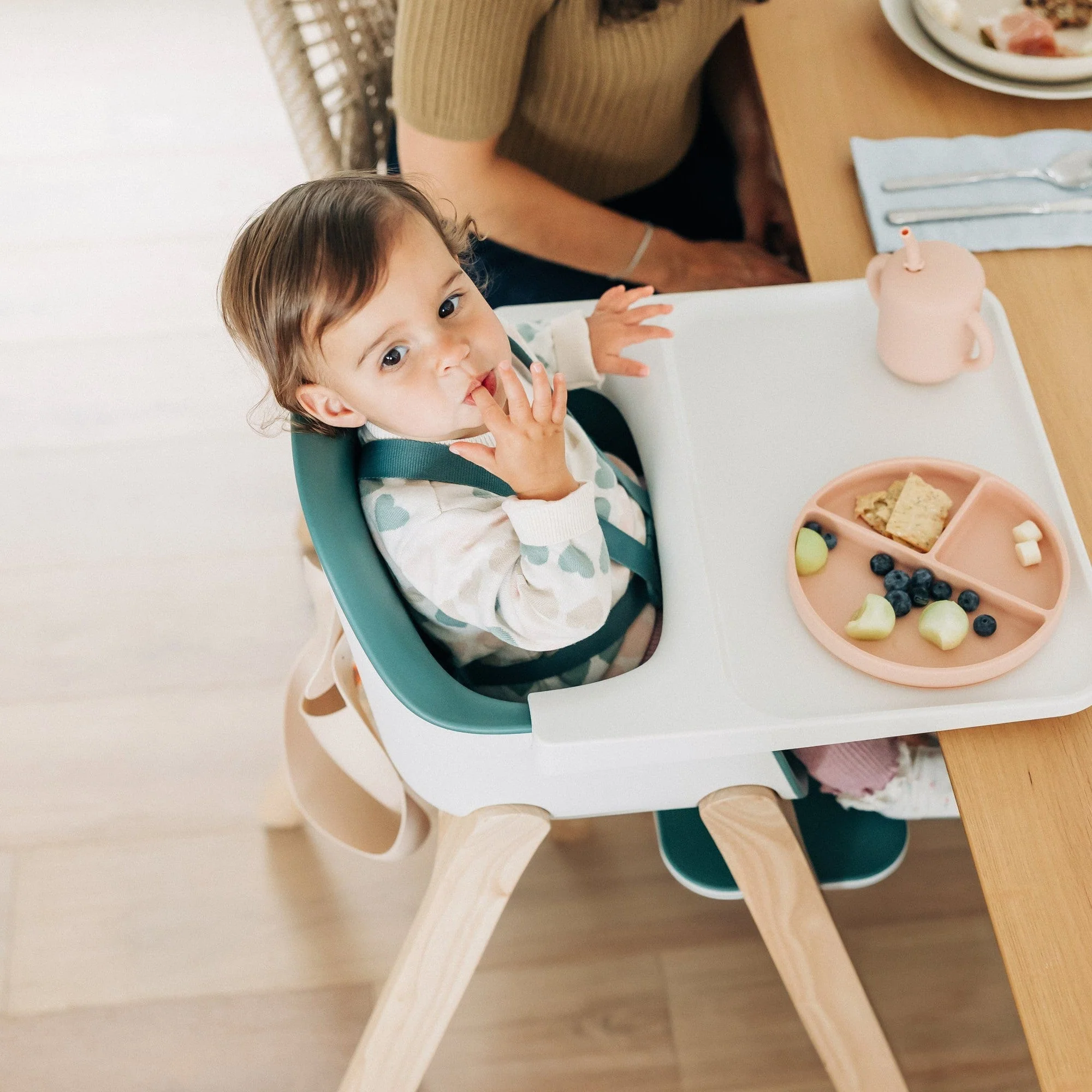 UPPAbaby Ciro High Chair - Image 85