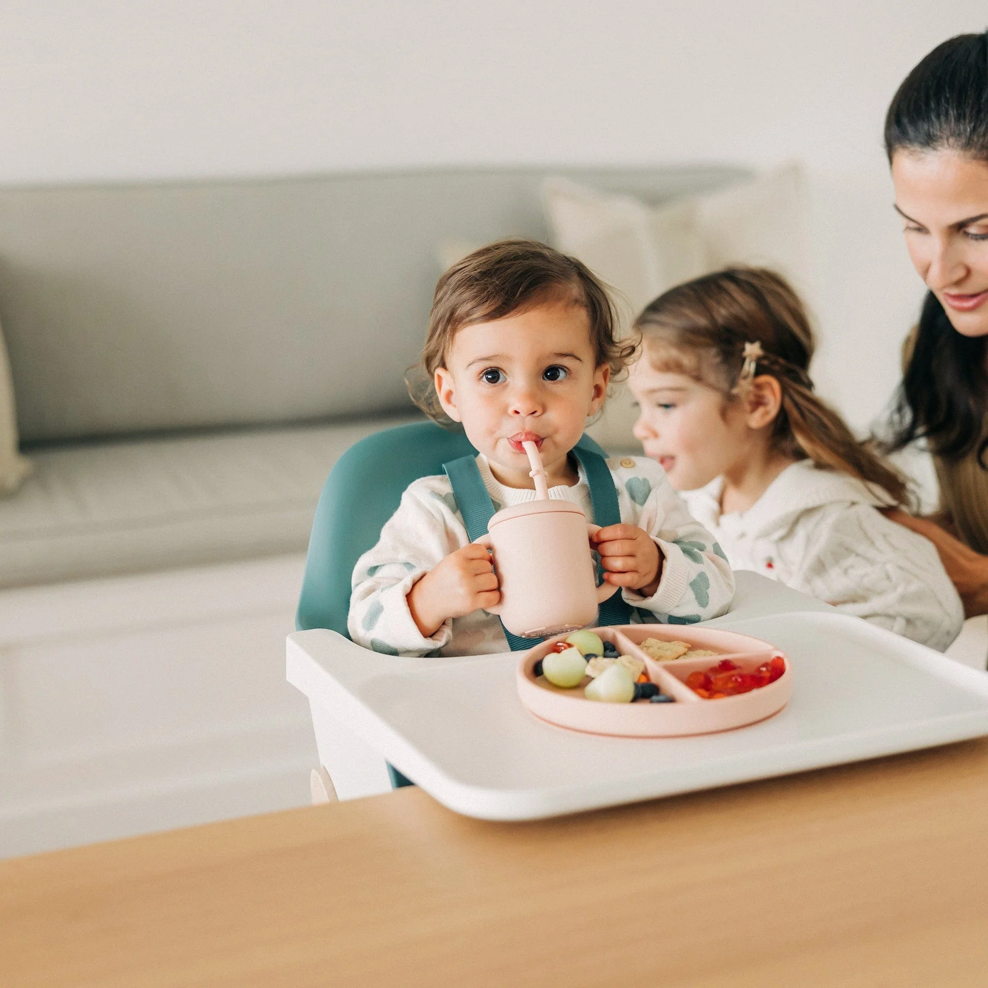 UPPAbaby Ciro High Chair - Image 93