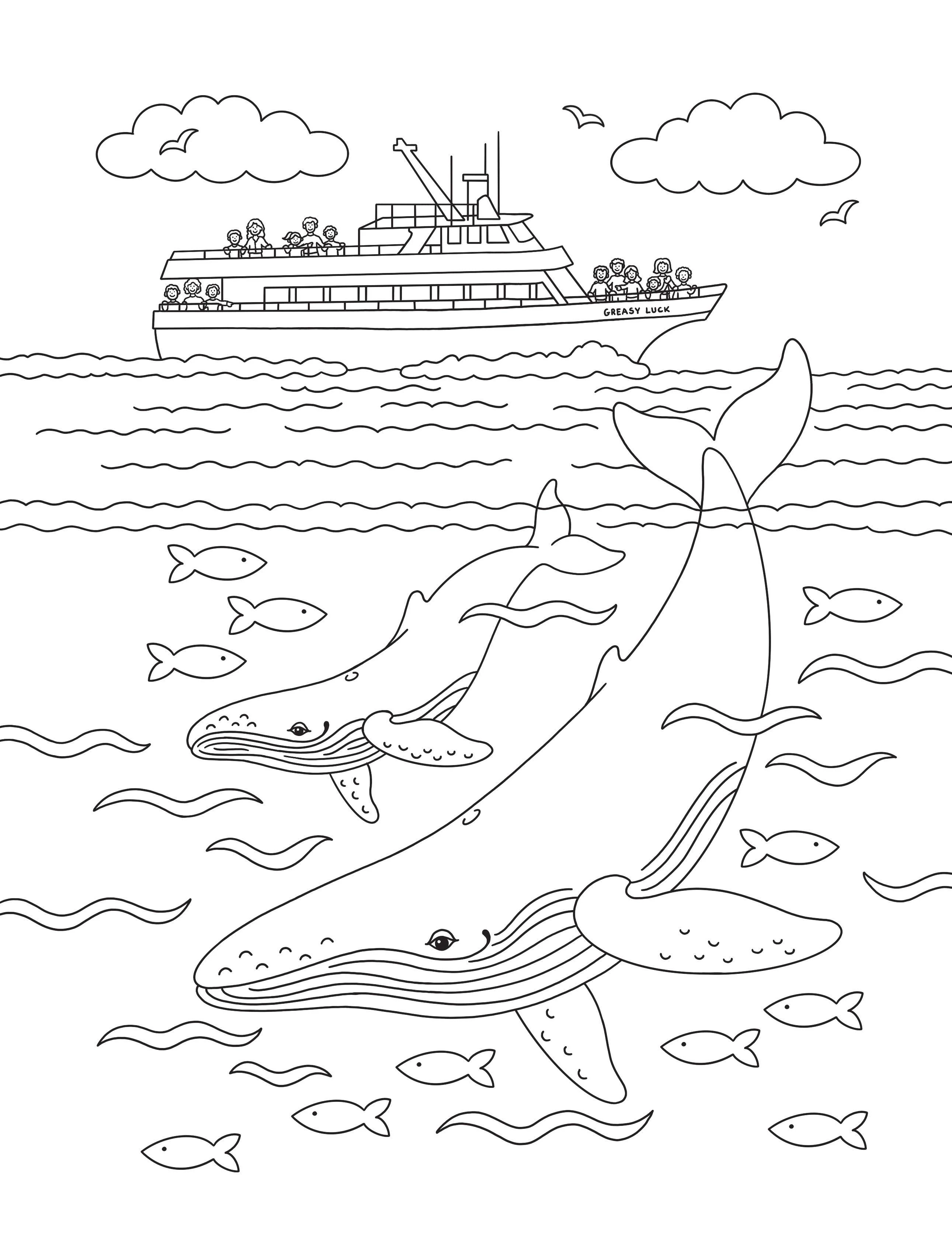 Color Me In Cape Cod: A Coloring Book For All Ages - Image 4