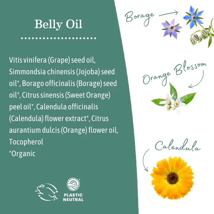 Earth Mama Organics Belly Oil 4 oz - Image 4