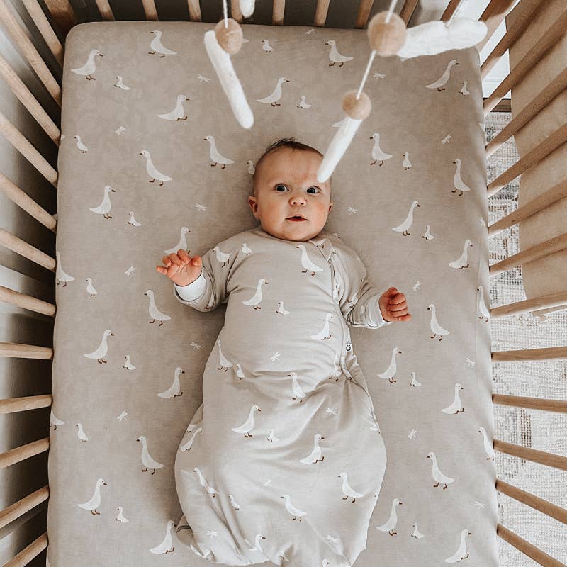 FW25 CRIB SHEET - Image 17
