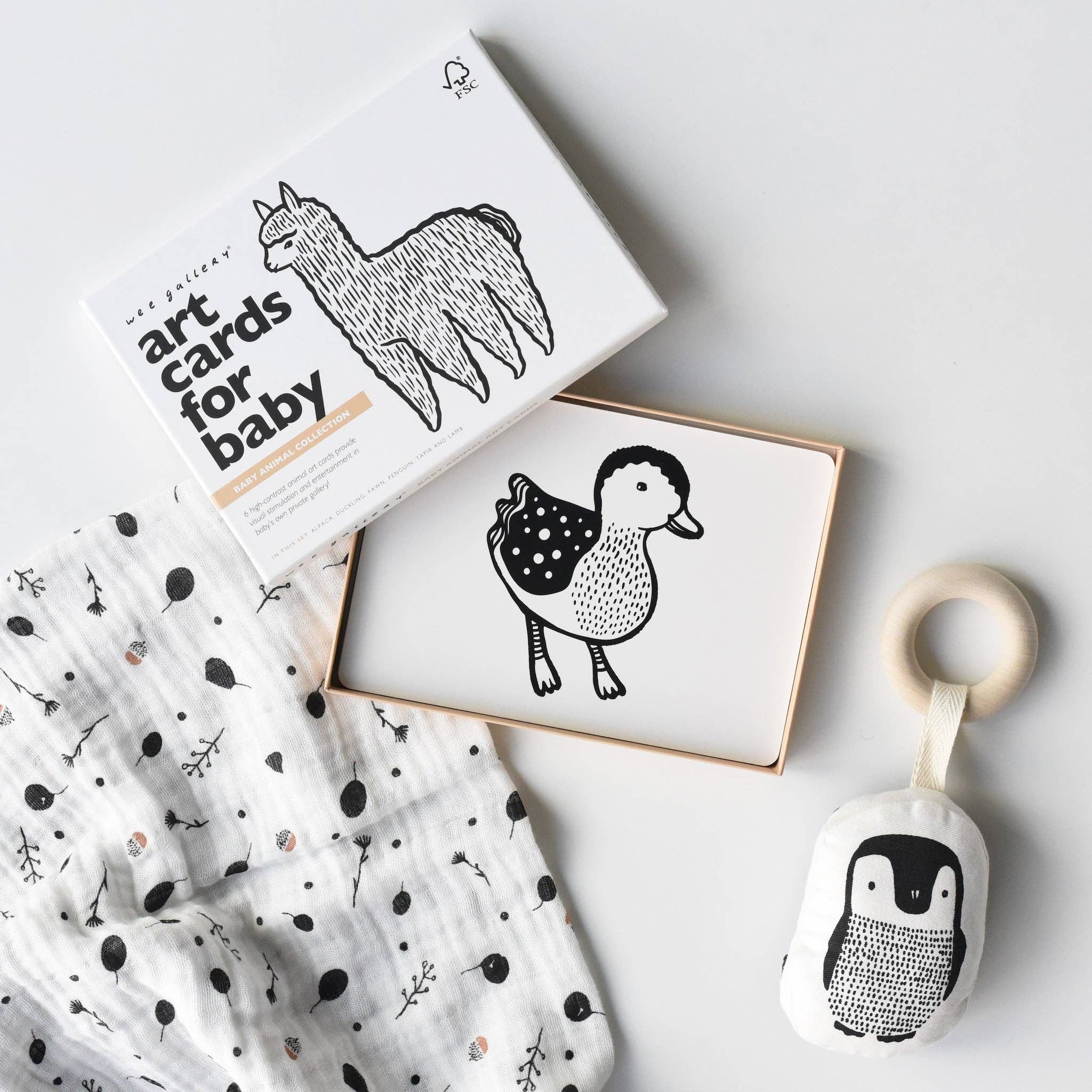 Little Naturalist Gift Set - Baby Animals - Image 4
