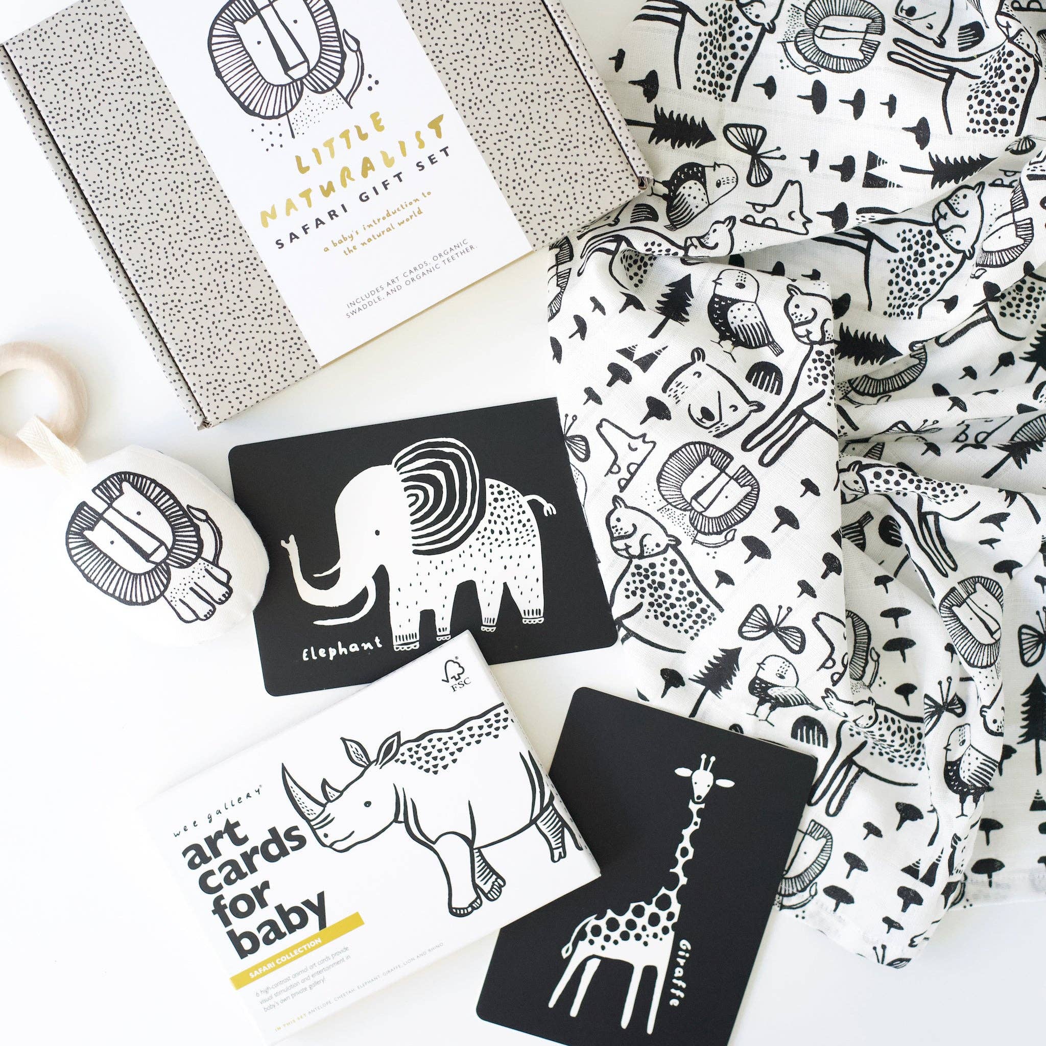 Little Naturalist Gift Set - Safari - Image 4