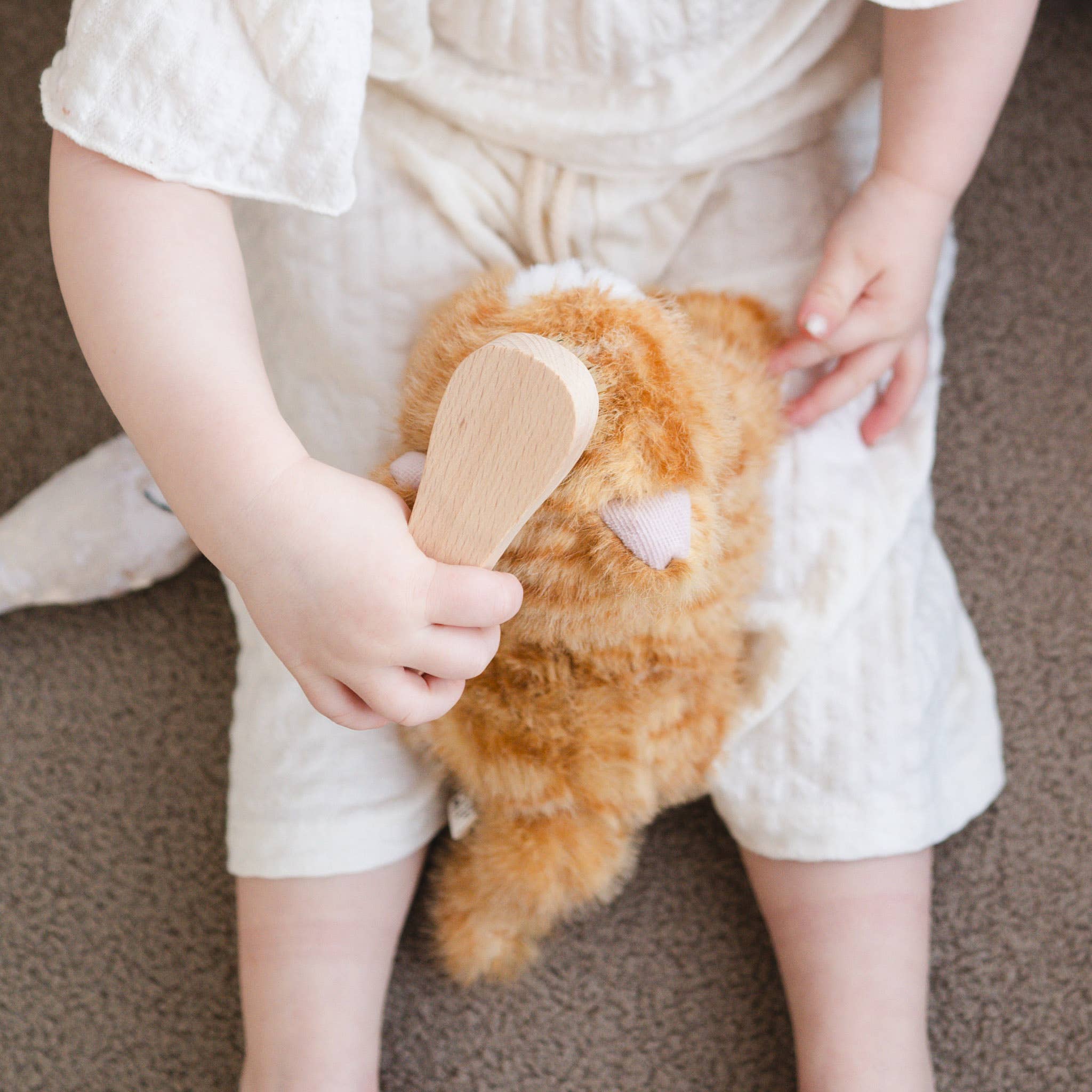 Munchkin & House (cat) - Image 2