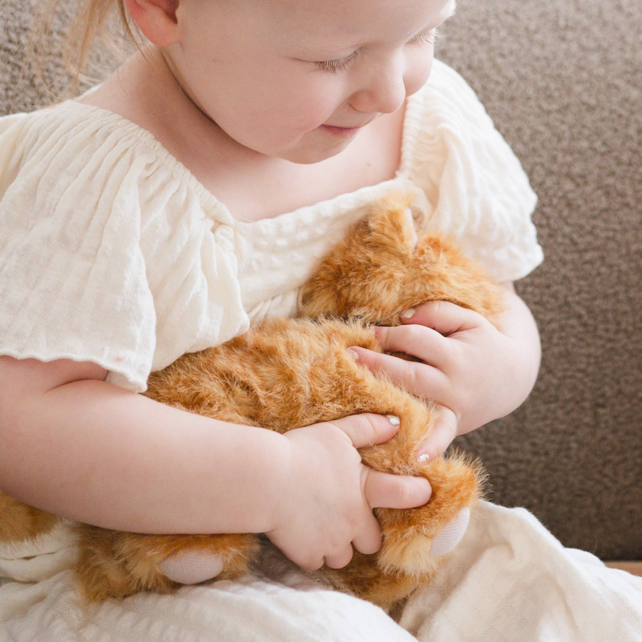 Munchkin & House (cat) - Image 5