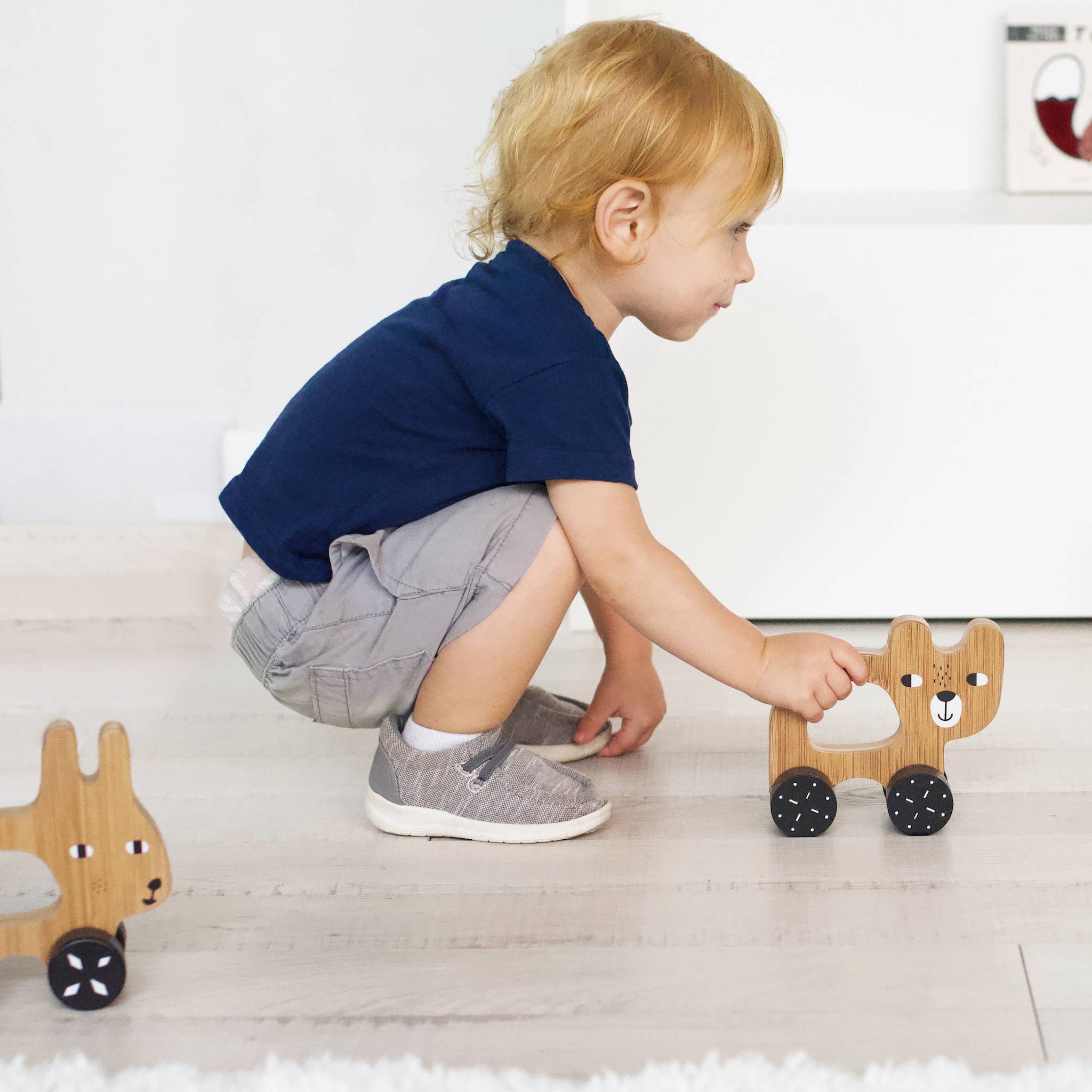 Push Toy - Image 3