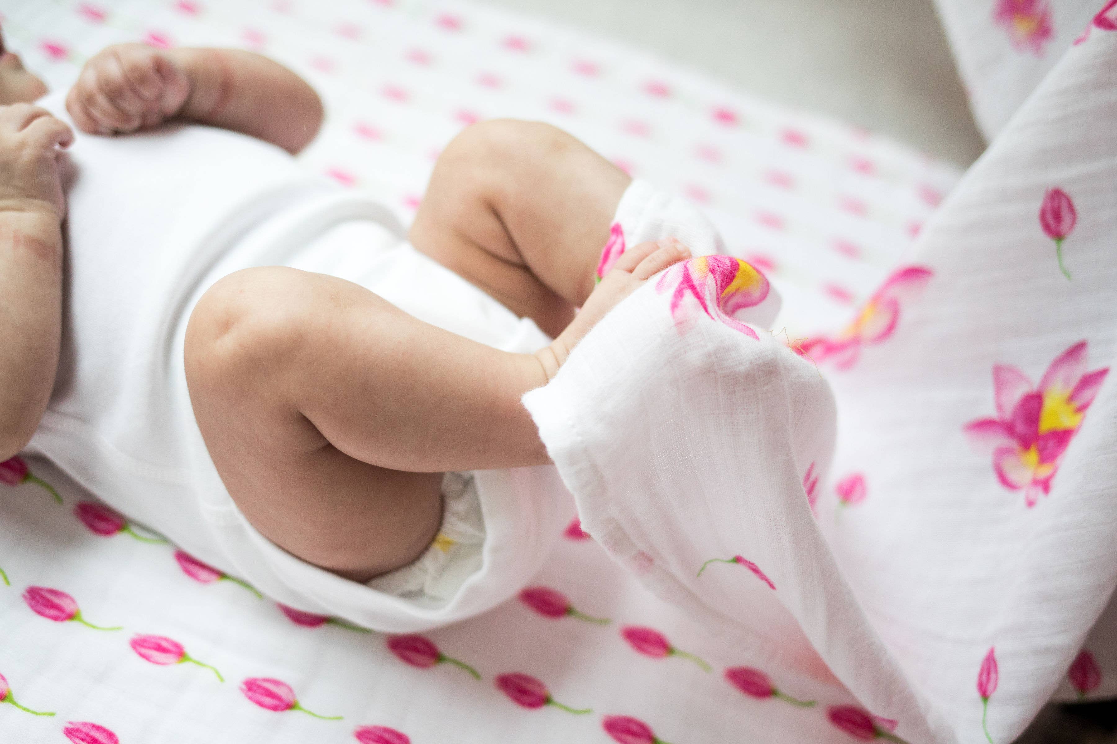 Single Swaddles: GOTS Certified Organic Cotton Muslin - Image 22