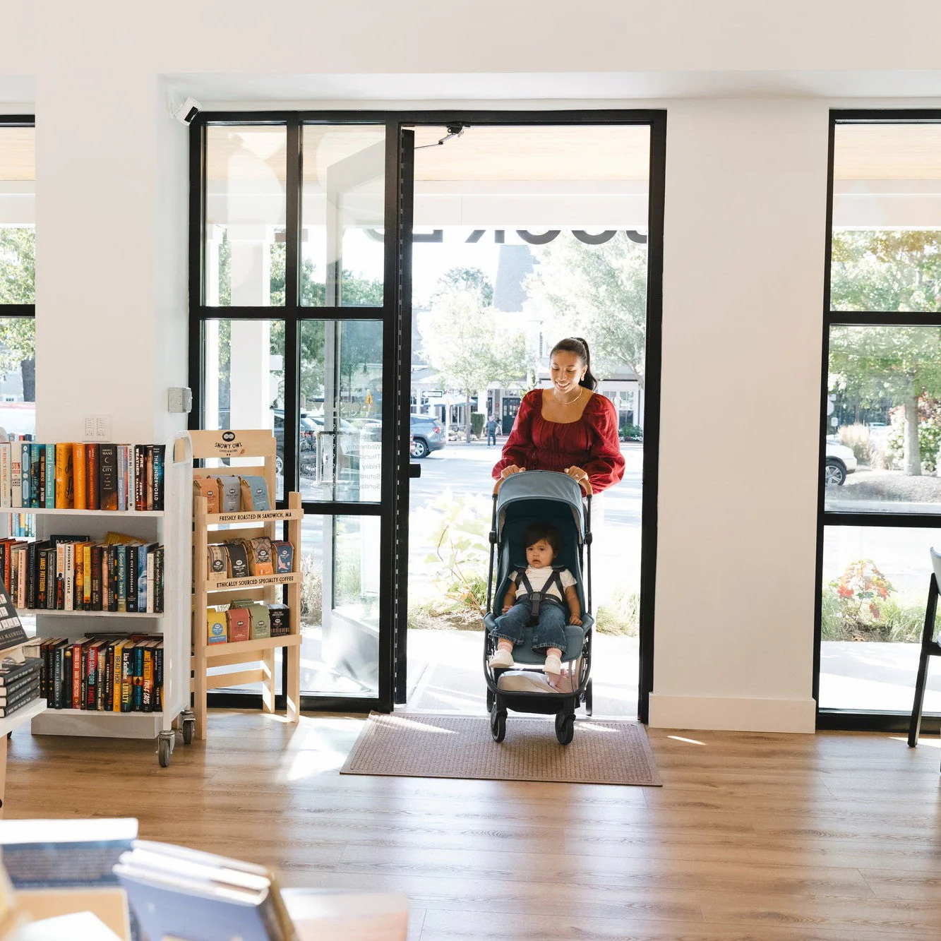 UPPAbaby Minu V3 Stroller - Image 19